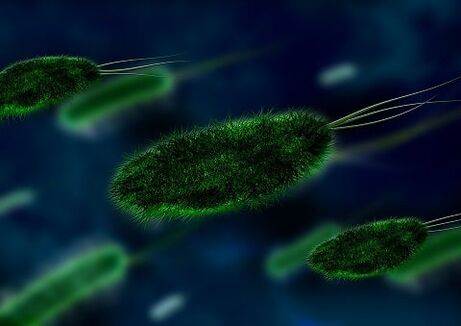anu nyababkeun gastritis nyaéta baktéri - Helicobacter